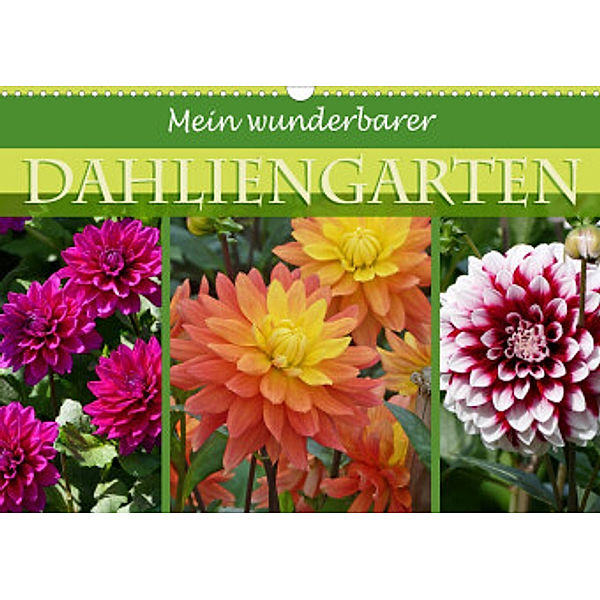 Mein wunderbarer Dahliengarten (Wandkalender 2022 DIN A3 quer), Christine B-B Müller