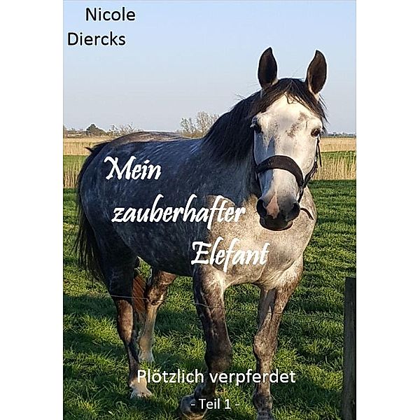 Mein zauberhafter Elefant, Nicole Diercks