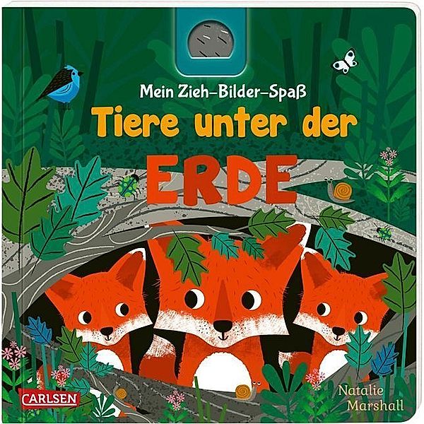 Mein Zieh-Bilder-Spaß / Mein Zieh-Bilder-Spaß: Tiere unter der Erde, Julia Hofmann