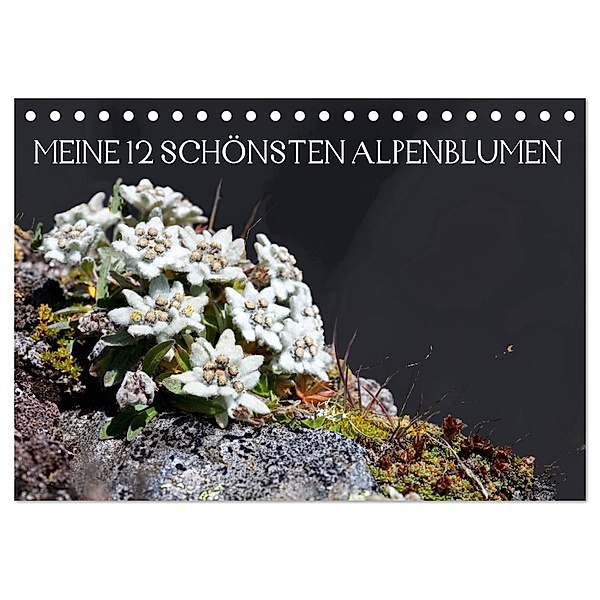 Meine 12 schönsten Alpenblumen (Tischkalender 2024 DIN A5 quer), CALVENDO Monatskalender, Christa Kramer