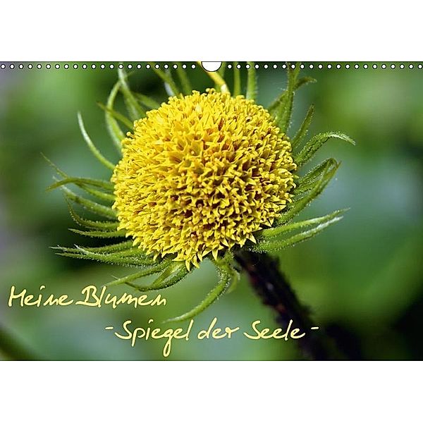 Meine Blumen - Spiegel der Seele (Wandkalender 2017 DIN A3 quer), Stefanie Wandt