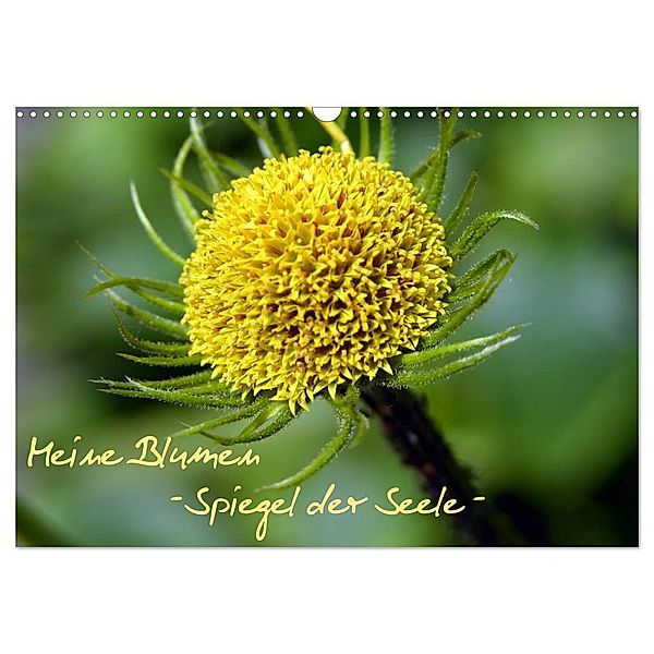Meine Blumen - Spiegel der Seele (Wandkalender 2024 DIN A3 quer), CALVENDO Monatskalender, Stefanie Wandt