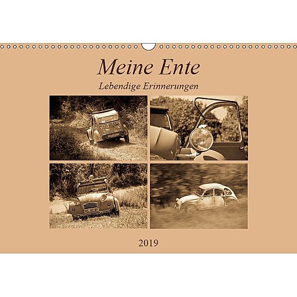 Meine Ente - Lebendige Erinnerungen (Wandkalender 2019 DIN A3 quer), Meike Bölts