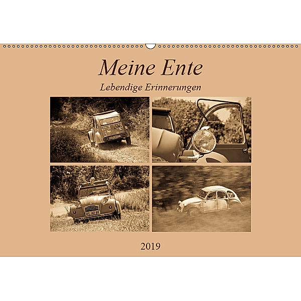 Meine Ente - Lebendige Erinnerungen (Wandkalender 2019 DIN A2 quer), Meike Bölts