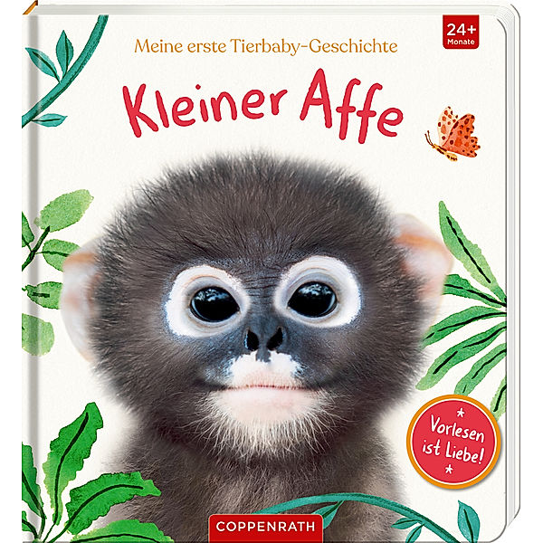 Meine erste Tierbaby-Geschichte: Kleiner Affe, Amanda Wood