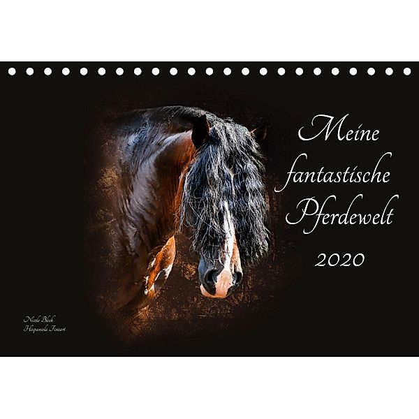 Meine fantastische Pferdewelt (Tischkalender 2020 DIN A5 quer), Nicole Bleck