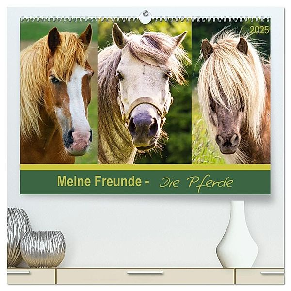 Meine Freunde - die Pferde (hochwertiger Premium Wandkalender 2025 DIN A2 quer), Kunstdruck in Hochglanz, Calvendo, AD DESIGN Photo + PhotoArt, Angela Dölling