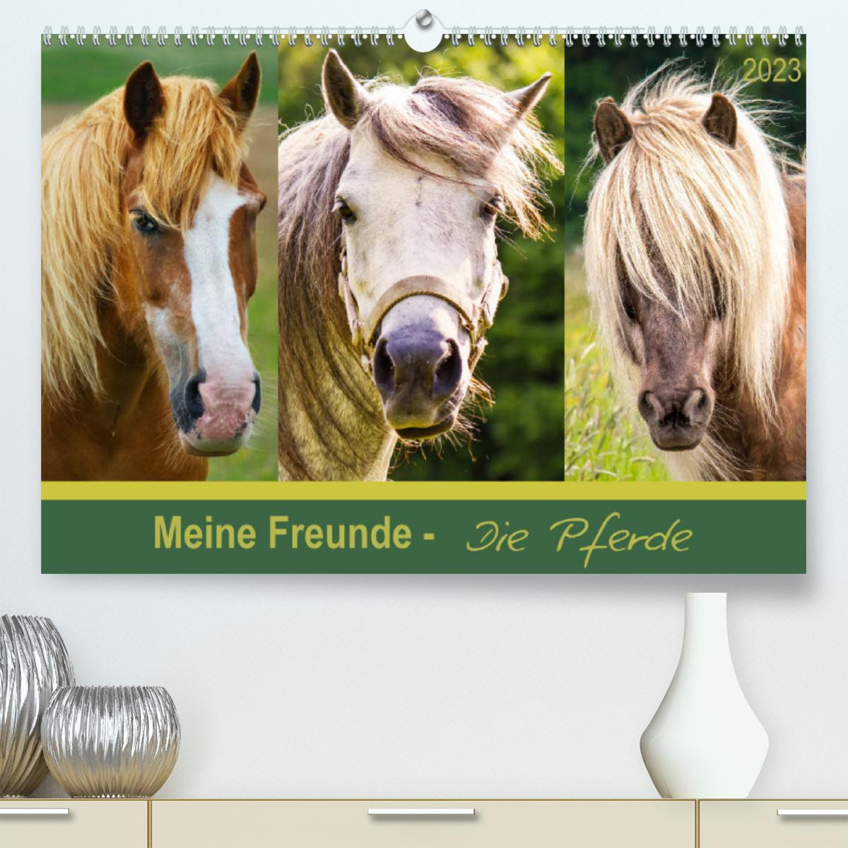 Meine Freunde - die Pferde (Premium, hochwertiger DIN A2 Wandkalender 2023, Kunstdruck in Hochglanz)