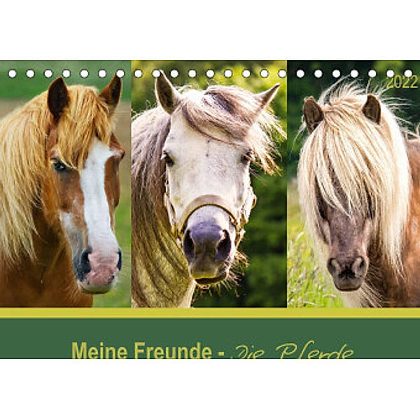 Meine Freunde - die Pferde (Tischkalender 2022 DIN A5 quer), Angela Dölling, AD DESIGN Photo + PhotoArt