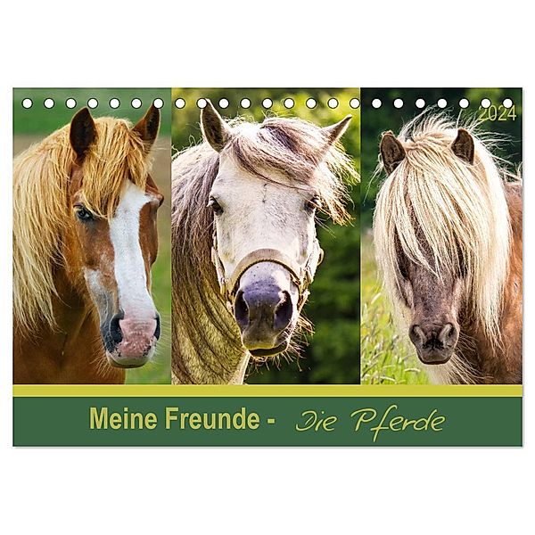 Meine Freunde - die Pferde (Tischkalender 2024 DIN A5 quer), CALVENDO Monatskalender, AD DESIGN Photo + PhotoArt, Angela Dölling