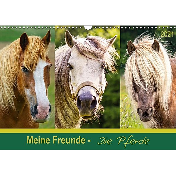 Meine Freunde - die Pferde (Wandkalender 2021 DIN A3 quer), Angela Dölling, AD DESIGN Photo + PhotoArt