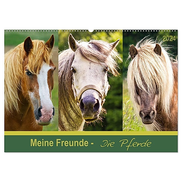 Meine Freunde - die Pferde (Wandkalender 2024 DIN A2 quer), CALVENDO Monatskalender, AD DESIGN Photo + PhotoArt, Angela Dölling
