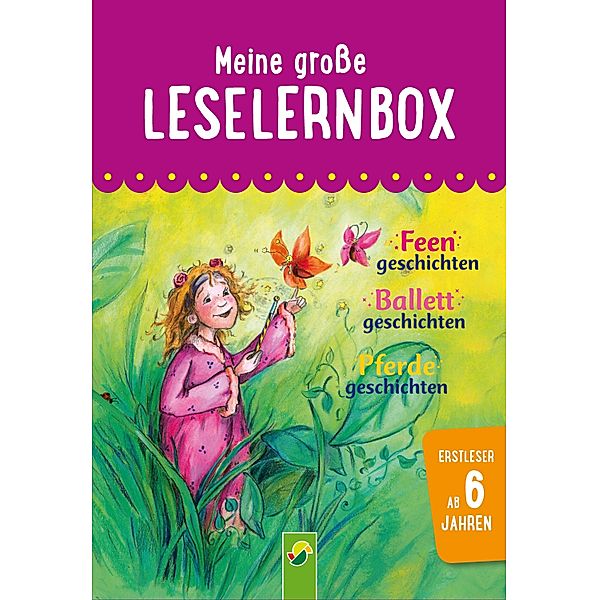 Meine große Leselernbox: Feengeschichten, Ballettgeschichten, Pferdegeschichten / Leselernbuch, Carola von Kessel, Anke Breitenborn