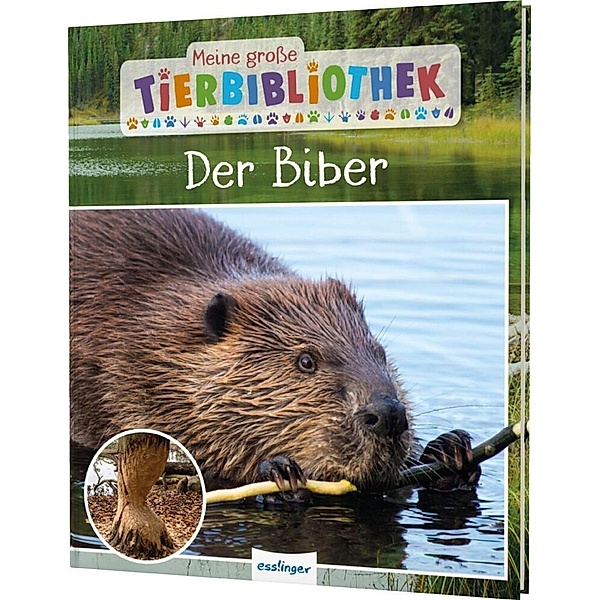 Meine grosse Tierbibliothek: Der Biber, Axel Gutjahr