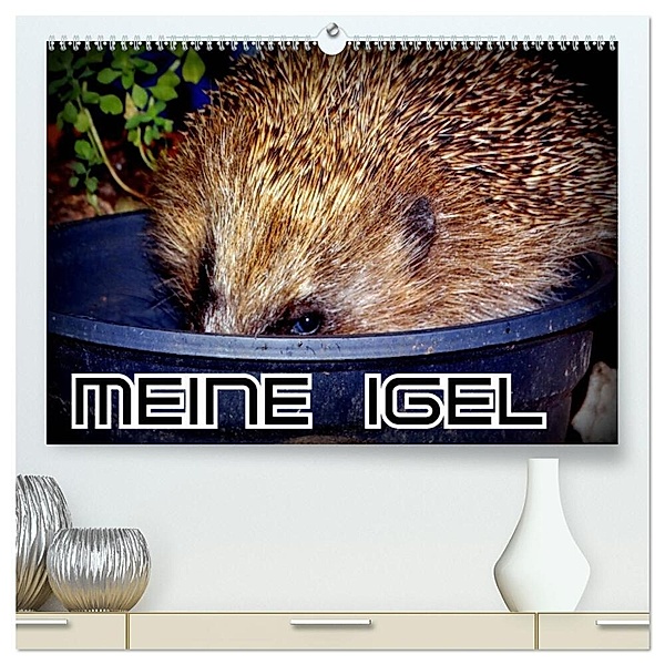 Meine Igel (hochwertiger Premium Wandkalender 2024 DIN A2 quer), Kunstdruck in Hochglanz, Henning von Löwis of Menar