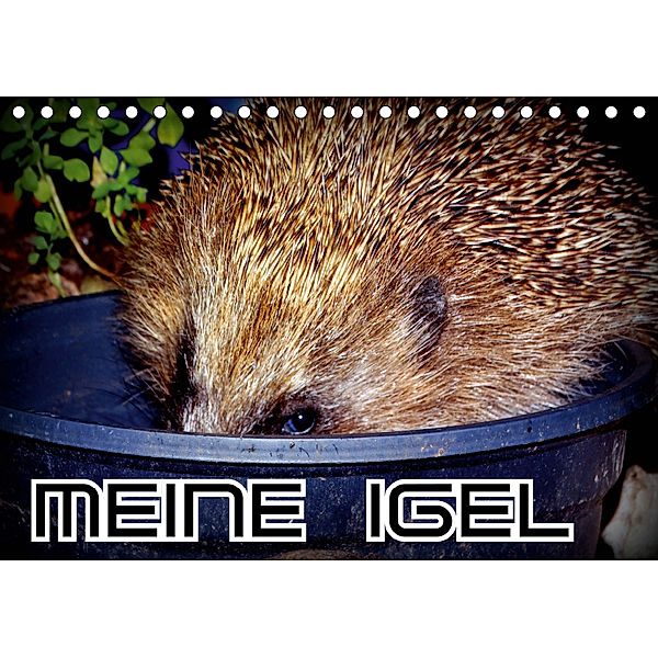 Meine Igel (Tischkalender 2019 DIN A5 quer), Henning von Löwis of Menar