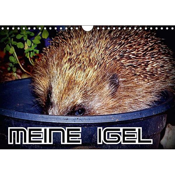 Meine Igel (Wandkalender 2018 DIN A4 quer), Henning von Löwis of Menar