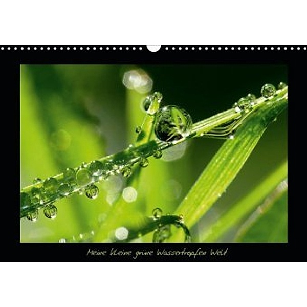 Meine kleine grüne Wassertropfen Welt (Wandkalender 2020 DIN A3 quer), Gabi Siebenhühner