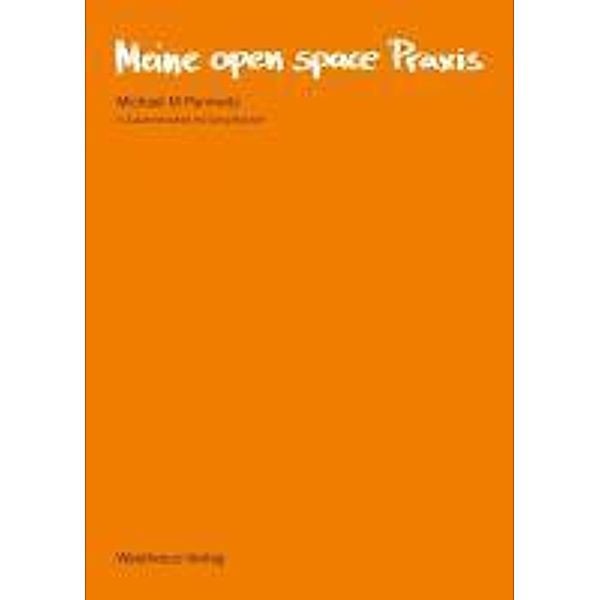 Meine open space Praxis, Michael M Pannwitz