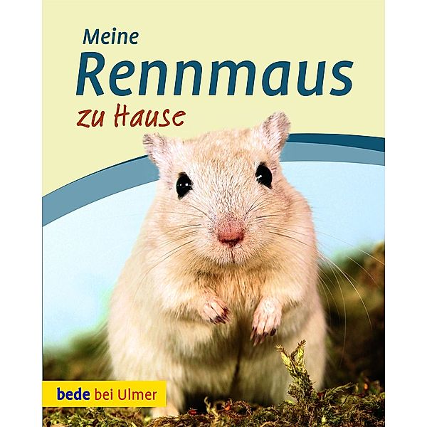 Meine Rennmaus zu Hause, Madlen Wendt