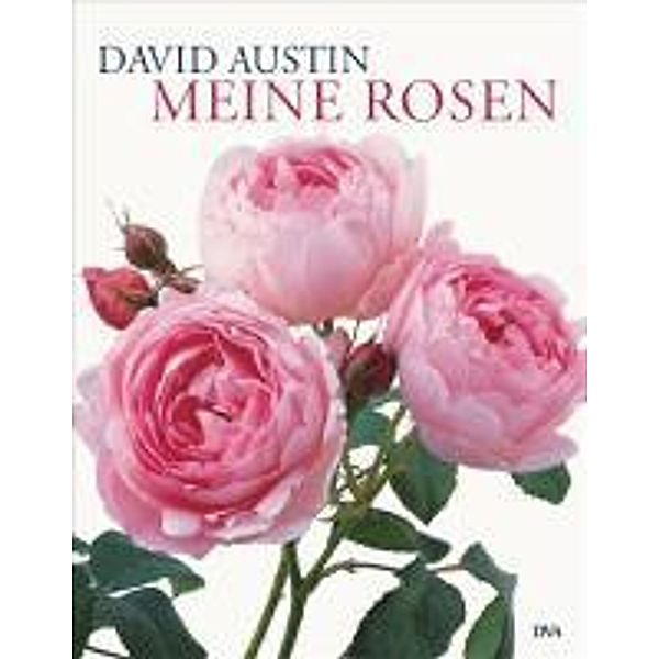 Meine Rosen, David Austin