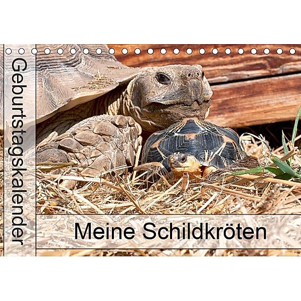 Meine Schildkröten - Geburtstagskalender (Tischkalender 2021 DIN A5 quer), Marion Sixt
