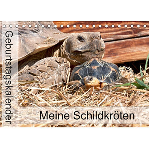 Meine Schildkröten - Geburtstagskalender (Tischkalender 2022 DIN A5 quer), Marion Sixt