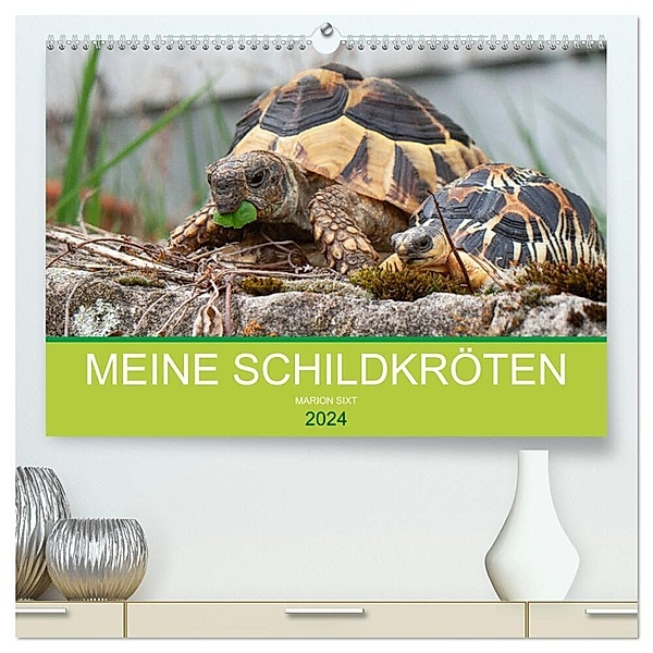 Meine Schildkröten (hochwertiger Premium Wandkalender 2024 DIN A2 quer), Kunstdruck in Hochglanz, Marion Sixt