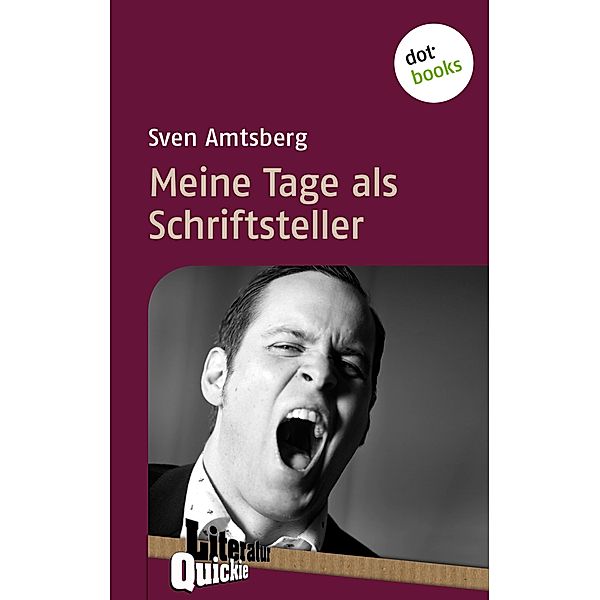 Meine Tage als Schriftsteller - Literatur-Quickie / Literatur-Quickies Bd.3, Sven Amtsberg