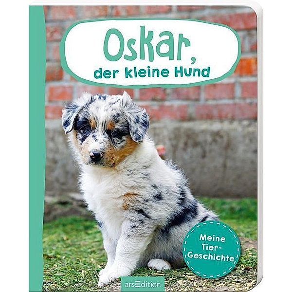 Meine Tiergeschichte / Oskar, der kleine Hund
