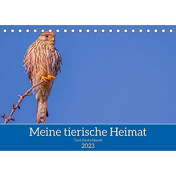 Meine tierische Heimat (Tischkalender 2023 DIN A5 quer), ellenlichtenheldt