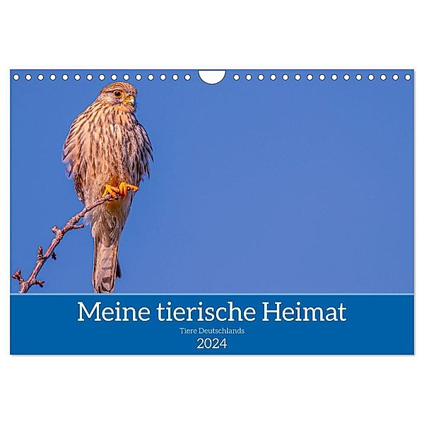 Meine tierische Heimat (Wandkalender 2024 DIN A4 quer), CALVENDO Monatskalender, ellenlichtenheldt