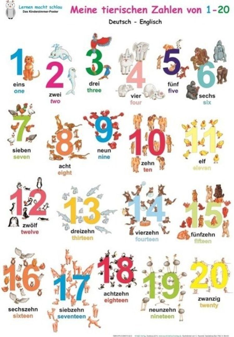 Meine tierischen Zahlen von 1-20, Deutsch Englisch Poster | Weltbild.ch