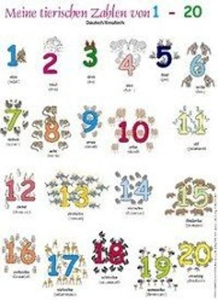 Meine tierischen Zahlen von 1-20, Deutsch Kroatisch Poster | Weltbild.de