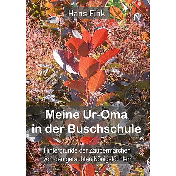 Meine Ur-Oma in der Buschschule, Hans Fink