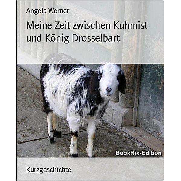 Meine Zeit zwischen Kuhmist und König Drosselbart, Angela Werner, Angela Werner