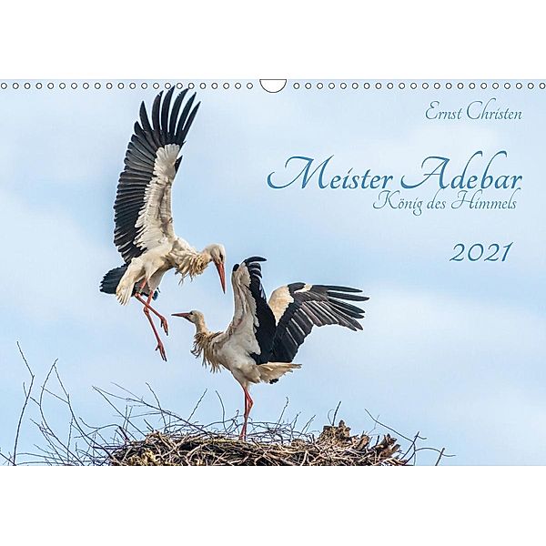 Meister Adebar - König des Himmels (Wandkalender 2021 DIN A3 quer), Ernst Christen