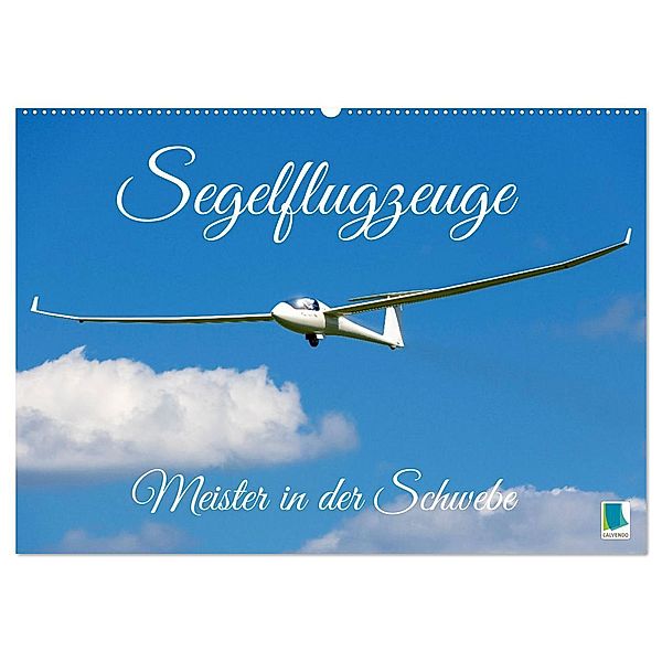 Meister in der Schwebe: Segelflugzeuge (Wandkalender 2025 DIN A2 quer), CALVENDO Monatskalender, Calvendo