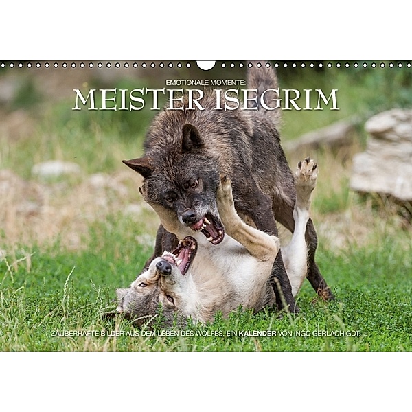 Meister Isegrim (Wandkalender 2014 DIN A3 quer), Ingo Gerlach