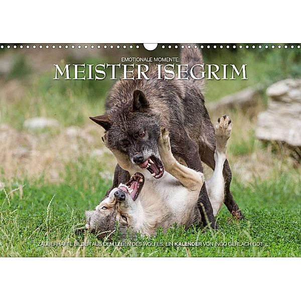 Meister Isegrim (Wandkalender 2023 DIN A3 quer), Ingo Gerlach GDT