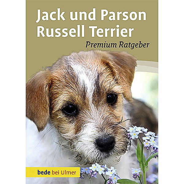 Meisterfloristen / Jack und Parson Russell Terrier, Annette Schmitt