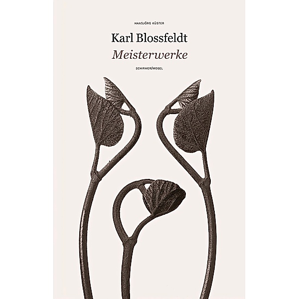 Meisterwerke, Karl Blossfeldt