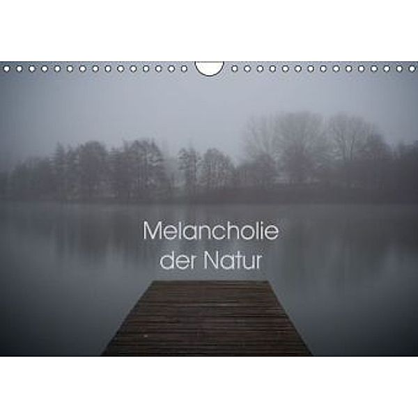 Melancholie der Natur (Wandkalender 2015 DIN A4 quer), Heiko Kapeller