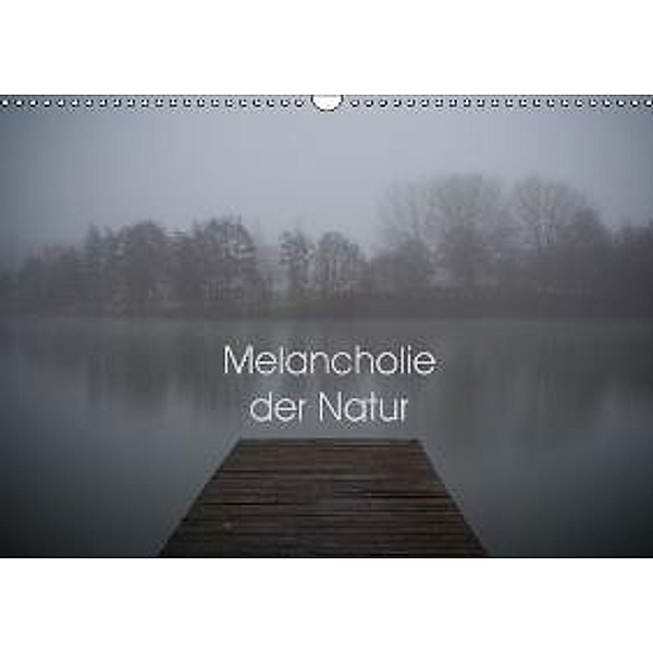Melancholie der Natur (Wandkalender 2016 DIN A3 quer), Heiko Kapeller