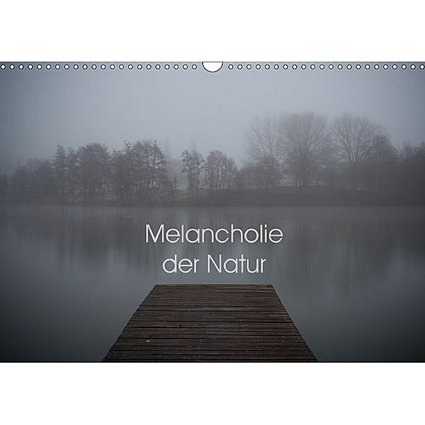 Melancholie der Natur (Wandkalender 2018 DIN A3 quer), Heiko Kapeller