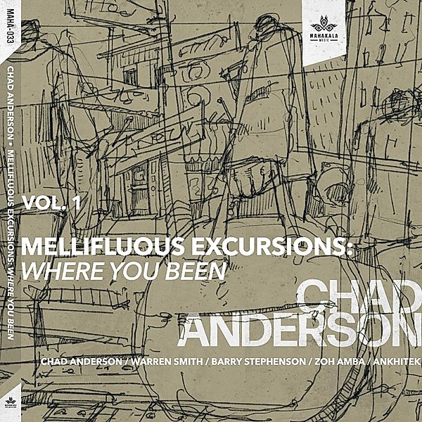 Mellifluous Excursions Vol.1: Where You Been, Chad Anderson