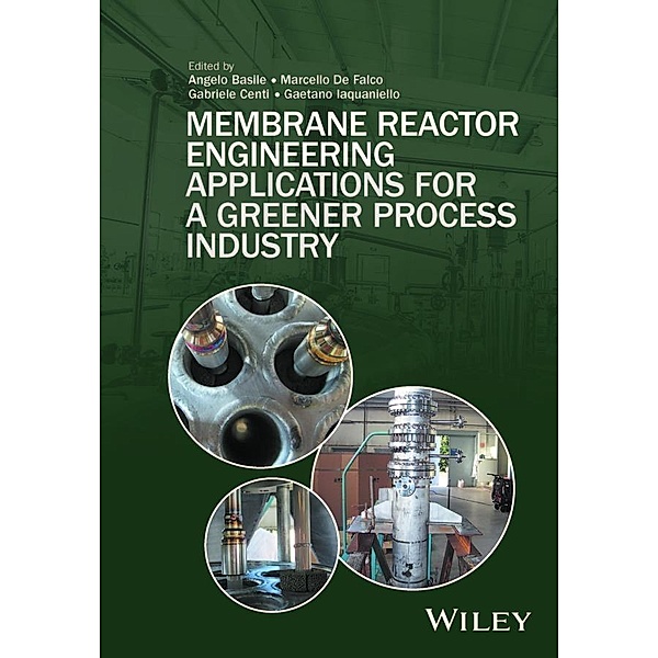 Membrane Reactor Engineering