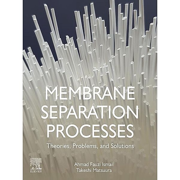 Membrane Separation Processes, Ahmad Fauzi Ismail, Takeshi Matsuura