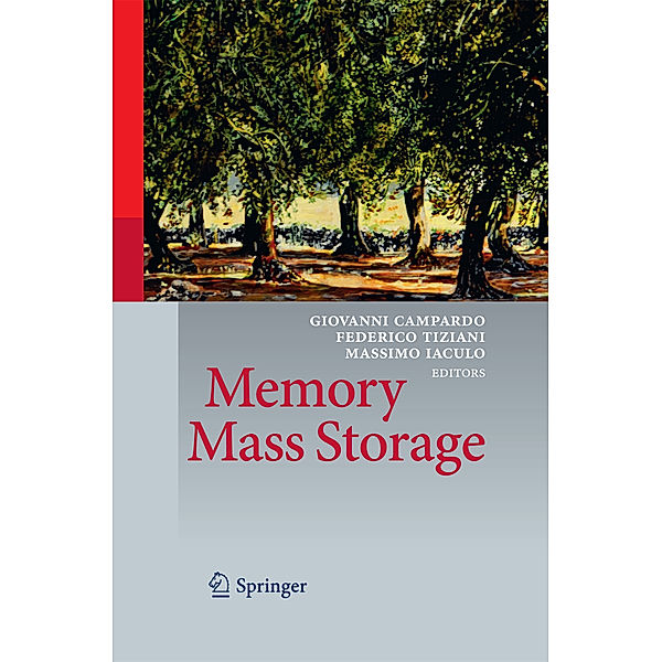 Memory Mass Storage