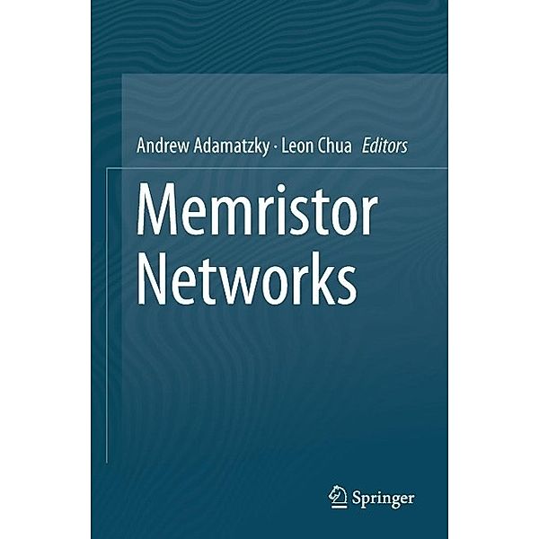 Memristor Networks